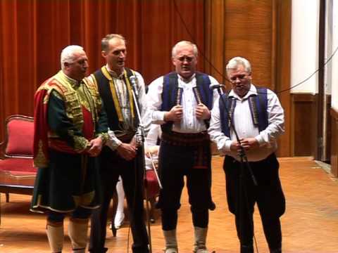 Izvorna grupa sa Ravne Romanije Izvorne pjesme 2008