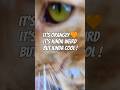BIG YAWN By Orange Tabby Cat Shorts