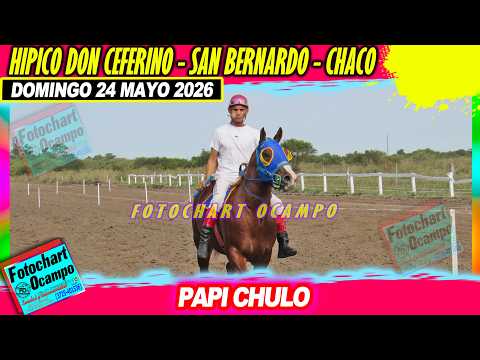PAPI CHULO San Bernardo CH 21 05 2026