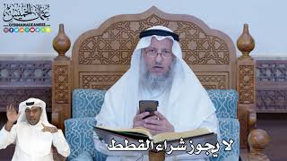249 - لا يجوز شراء القطط - عثمان الخميس