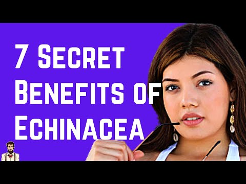 7 Benefits of Echinacea from Colds to Skin and Sexual Health