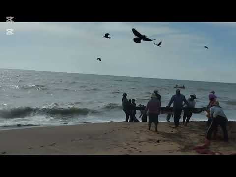 Ma Dal Adima – Traditional Coastal Fishing in Sri Lanka