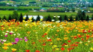 今日、動画をおやすみします。【わたしの近況報告】