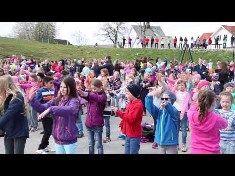 Dansens dager - Spjelkavik barneskole 2014
