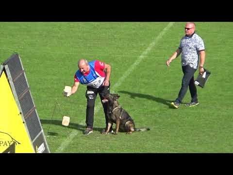 2019 WUSV WM in Modena 58 BEL‐2 LEEMANS DIRK  MAFFIA VAN BLUTSENHOF M B81