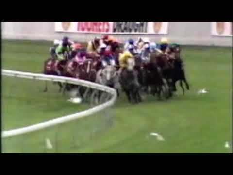 1991 Doncaster Handicap - Super Impose