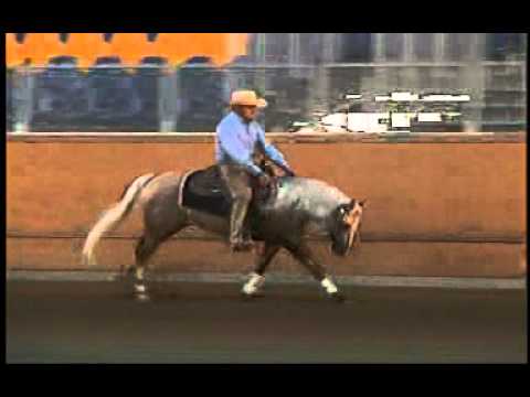 Sail On Frozen Shadow-2007