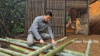 Robert built chicken coop and prepared to bring the chickens home. Green forest life 