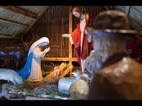 25.01.2026   Msza św.  3 NIEDZIELA ZWYKŁA