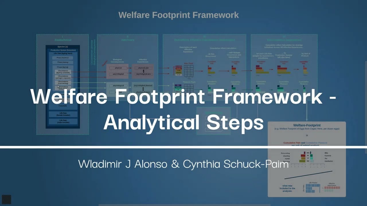 Calculating Welfare Footprints - Analytical Steps