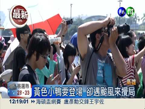 黃色小鴨下午登場 彩排搶先看!