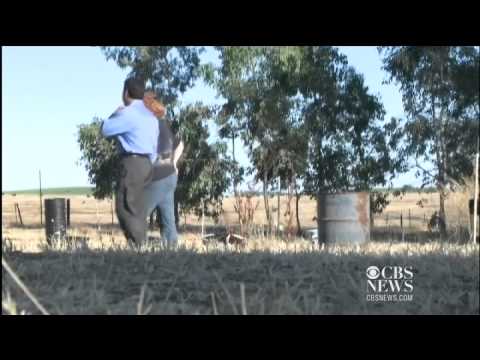 Locusts invade Sacramento farm