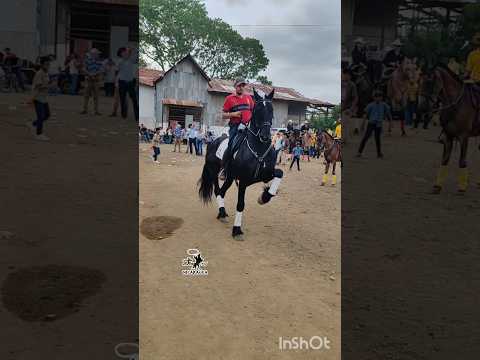 Caballo, Cárter, Rancho Los Potros de La Pazcentro -Jinete Sr. Beyker Robelo, hacedor de caballos👌