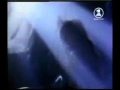 Steve Stevens Action (Official Music Video).mpg