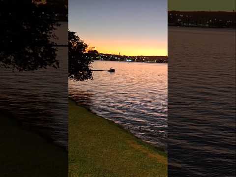 Lago de Furnas - Boa Esperança MG 💦✨️ #nature #sunset #brasil  #travel #elements #ancestral #zen