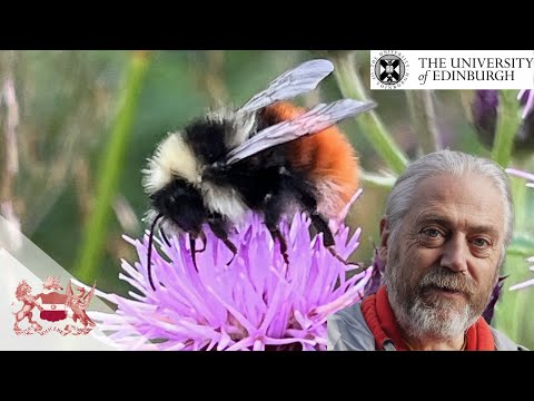 Busy 'bout the Tree of Life: genome sequencing of biodiversity