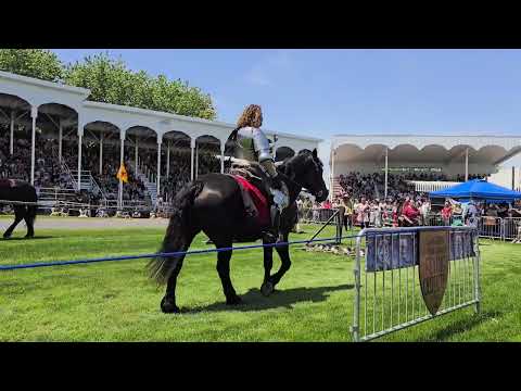Journey Back in Time: Glengarry Renaissance Festival 2024 Knights of Valour