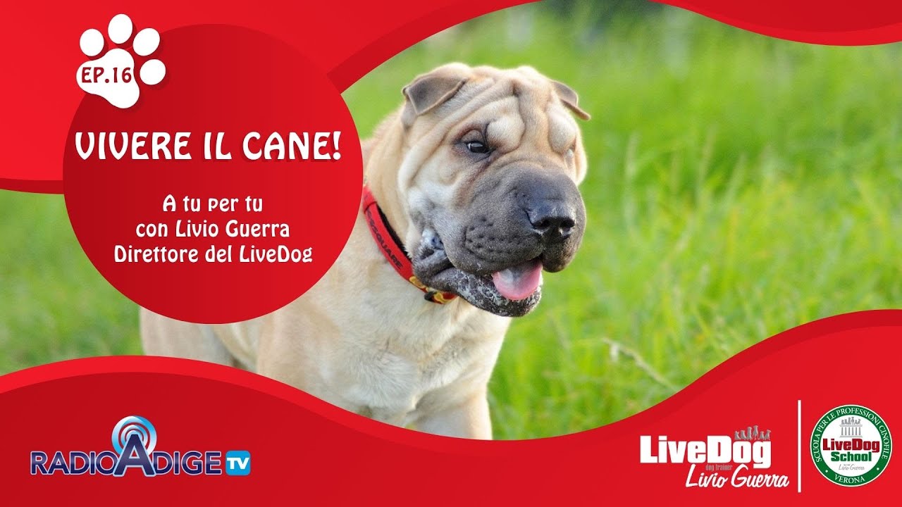 Descrizione dell'immagine