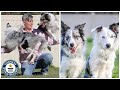 Most tricks by two dogs in one minute - Guinness World Records
