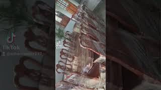 Comedor de cedro para 10 sillas