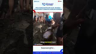 Download lagu Pria Tewas Dimangsa Ular Piton Raksasa, Warga Belah Perut Sang Predator Demi Keluarkan Korban mp3 Download lagu Pria Tewas Dimangsa Ular Piton Raksasa, Warga Belah Perut Sang Predator Demi Keluarkan Korban mp3