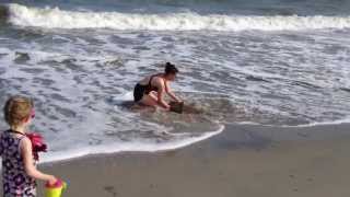 preview picture of video 'Cownose Ray - Edisto Beach, SC'