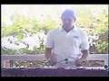 Arthur Lyman Clip