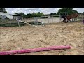 Pouliche de 3 ans, modèle sérieux, lignée 5*