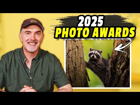 859 Entries! The Best Wildlife Photos of 2025!