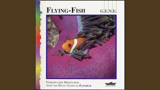 Flying Fish