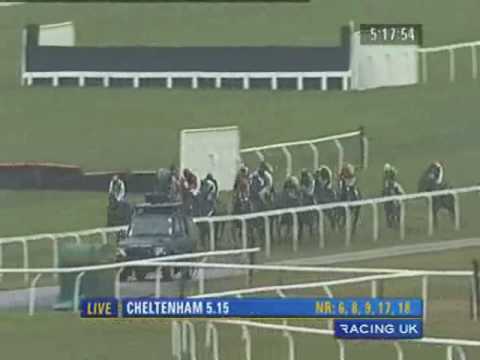 2010 Johnny Henderson Grand Annual Chase Challenge Cup