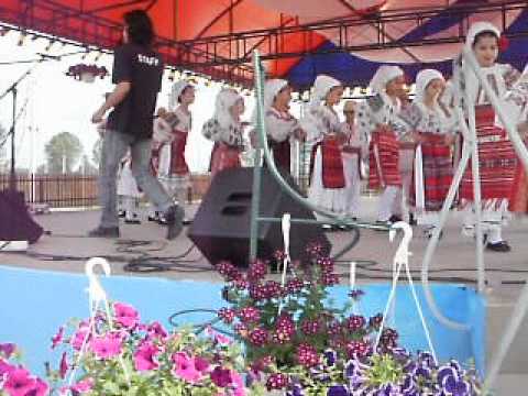 Ansamblul Doina Mischiului