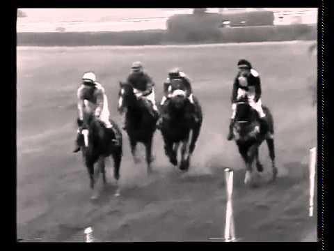 101. Velká pardubická steeplechase - 1991
