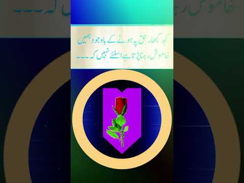 Mudassir voice. #poetry #lovelypoetry #quotes #challengevideo #isalmicstory #sadpoetry ...