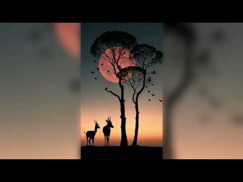 hinos Ccb _eis que a noite e passada #239