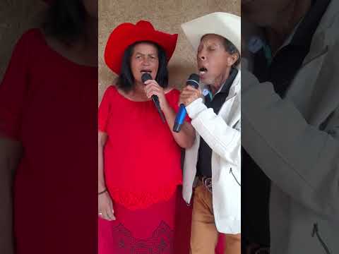 Vídeo, dupra Márcia, valdecie, divisa, nova mina, Minas Gerais.