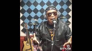 Download lagu 'BERAKIT RAKIT KE HULU' rock version mp3