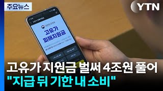 고유가 지원금 벌써 4조원 풀어..."지급 뒤 기한 내 소비" / YTN