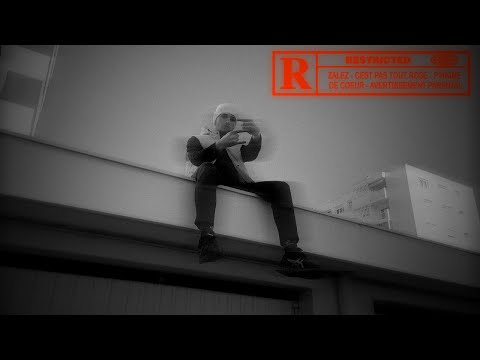 ZALEZ - 2' (prod. HAYILAT)