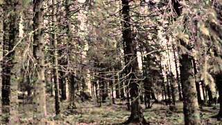 Cross The Road, Molina