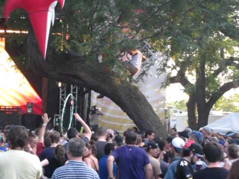 Raging on a Tree @North Coast Music Festival 2011 Chicago