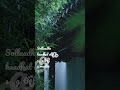 En Veetu Thottathil Lyrics Whatsapp Status Whatsappstatus Love Tamil