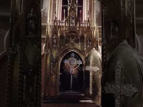 Adoración al Santísimo Sacramento del Altar con el Padre Fabian Esteban Oliva. 15//07/26