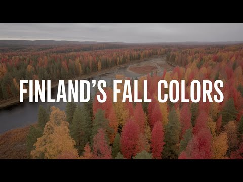 BREATHTAKING Autumn Aerial Footage in Finland's Kauhajoki Region