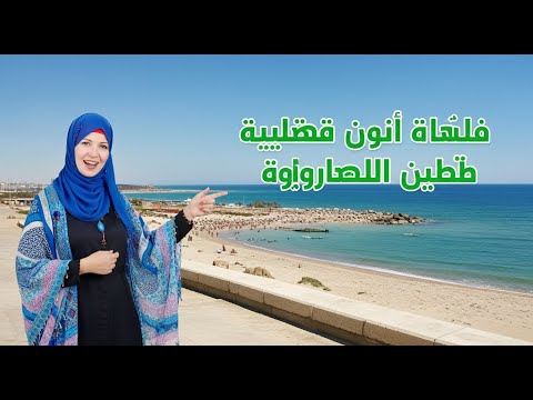 عودة شواطئ سيدى بشر ｜ تجهيز الشواطئ الرملية للافتتاح ｜ توسعة الكورنيش رجعت البحر ｜ اسكندريه الان