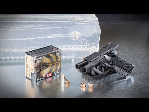 Ballistic Testing Federal HydraShok Deep .380 #1032