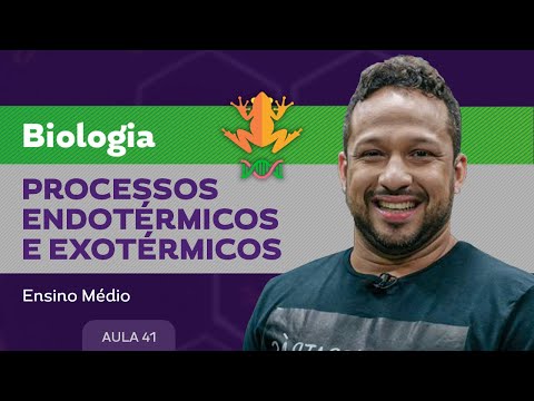 Processos endotérmicos e exotérmicos​ - Biologia - Ensino Médio