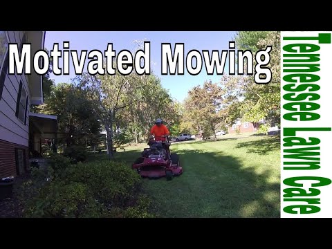 Were Is Your Motivation To Do This? Early Fall Lawn Care In Action! "Tennessee Lawn Care"