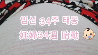[임신/妊娠]34w 애기 태동/胎動 #低体重児