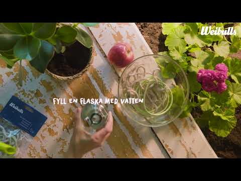 Bevattning för semestern